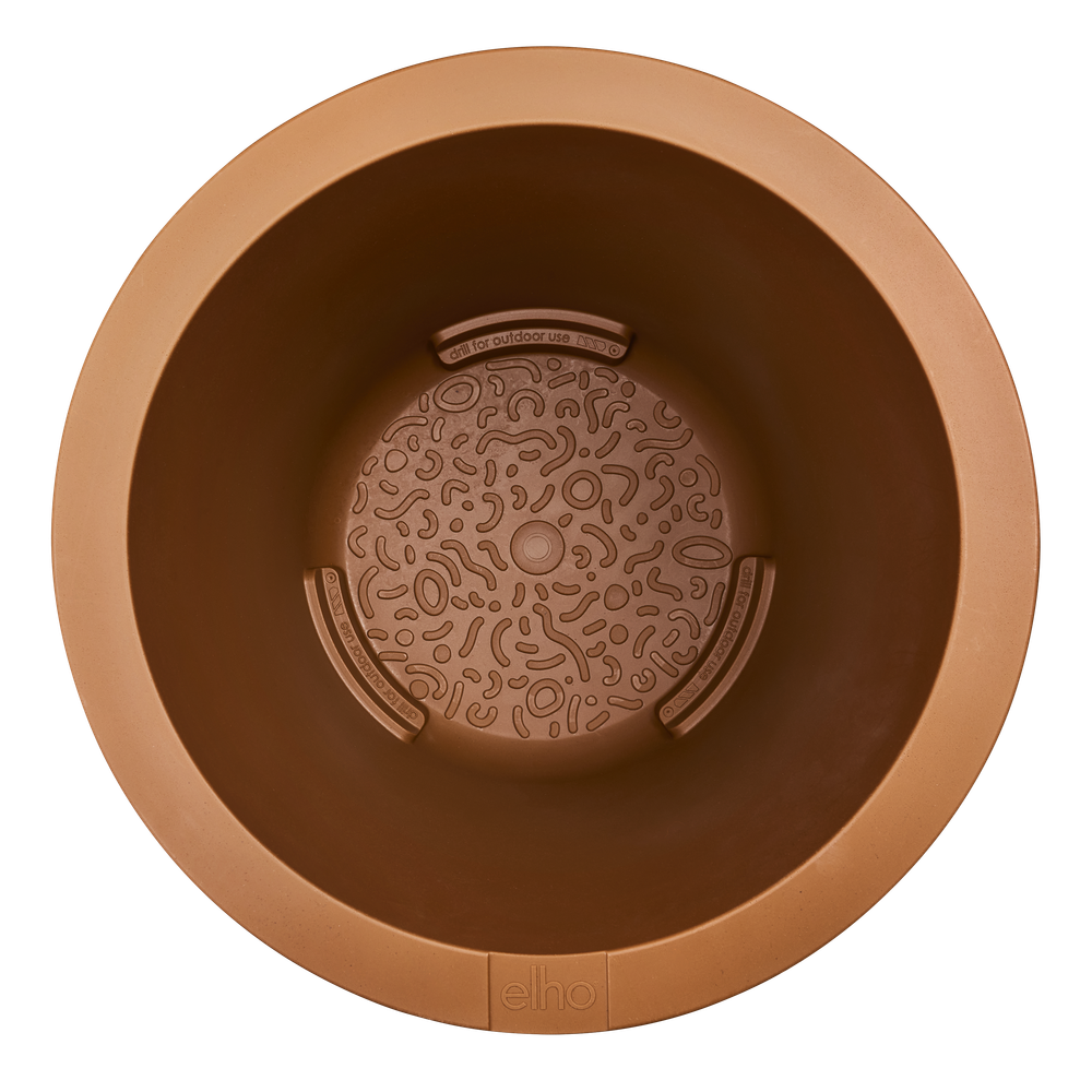 Amber Coupe Round 41