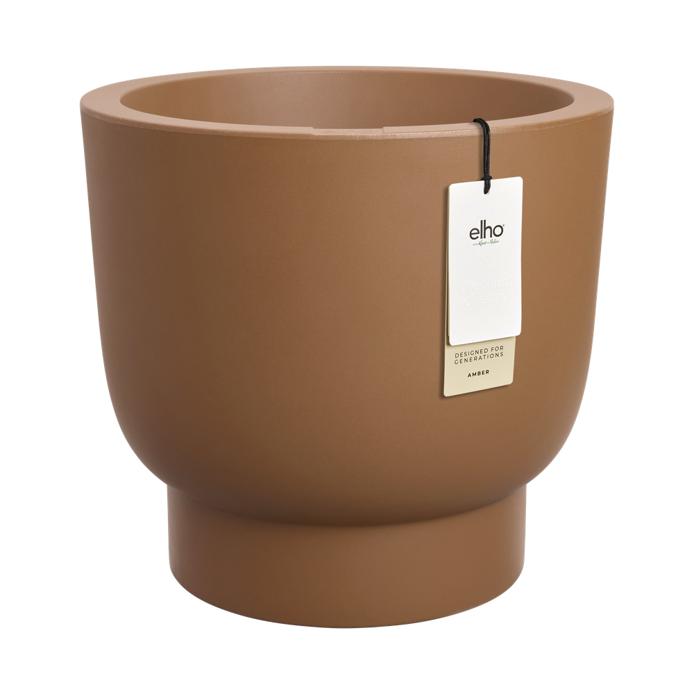 Amber Grail 40