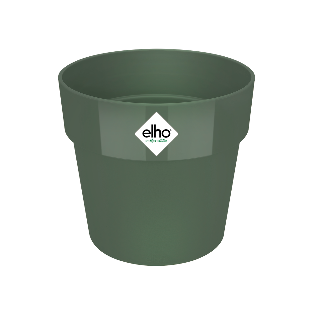 B.for Original Round 14