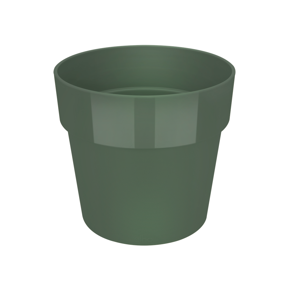 B.for Original Round 25
