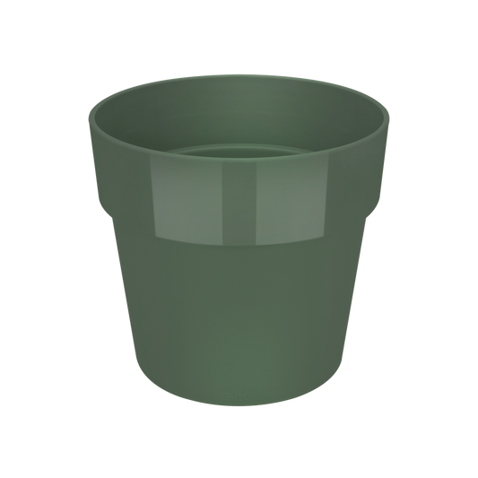 B.for Original Round 14