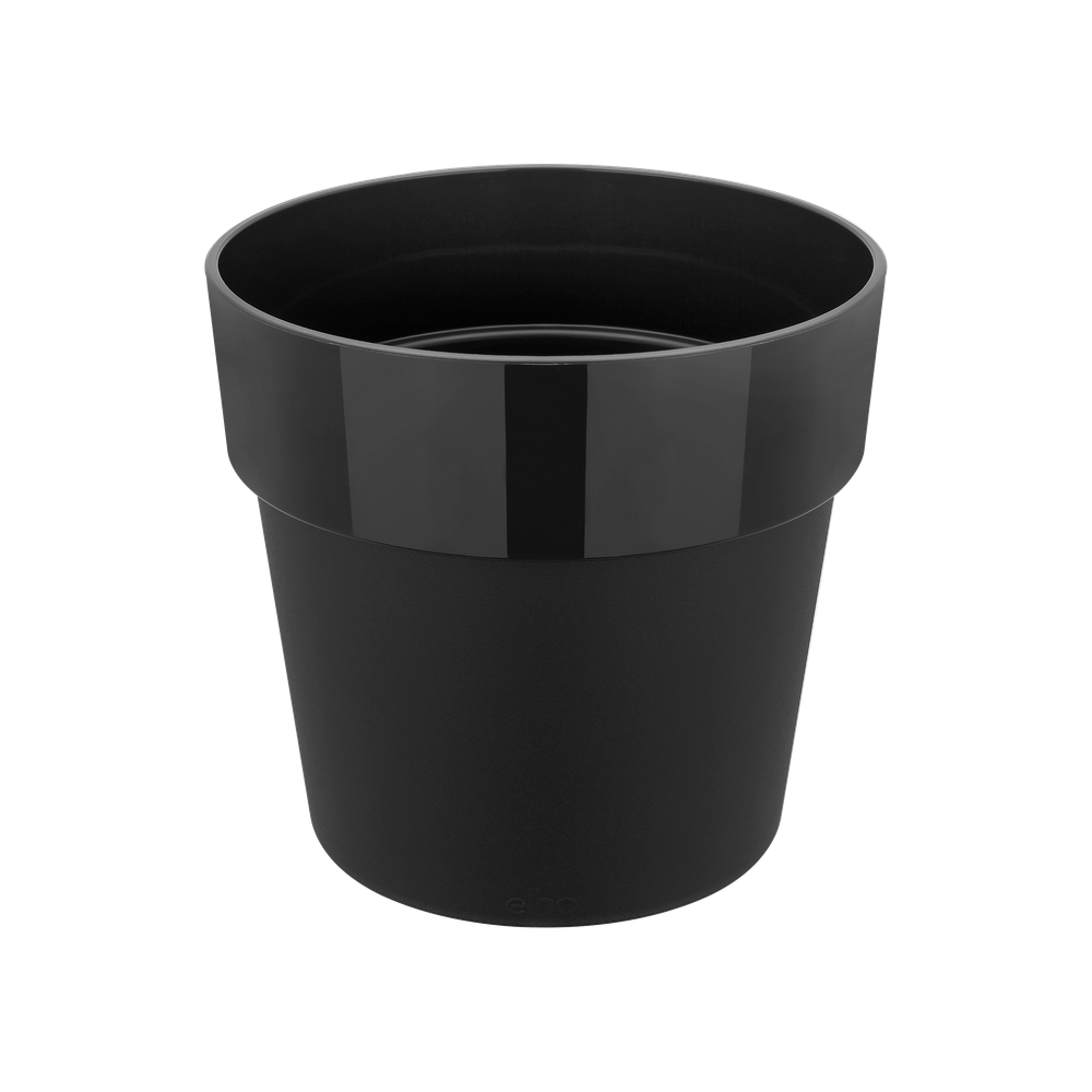 B.for Original Round 30