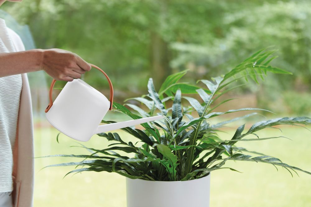 B.for Soft Watering Can 1,7ltr