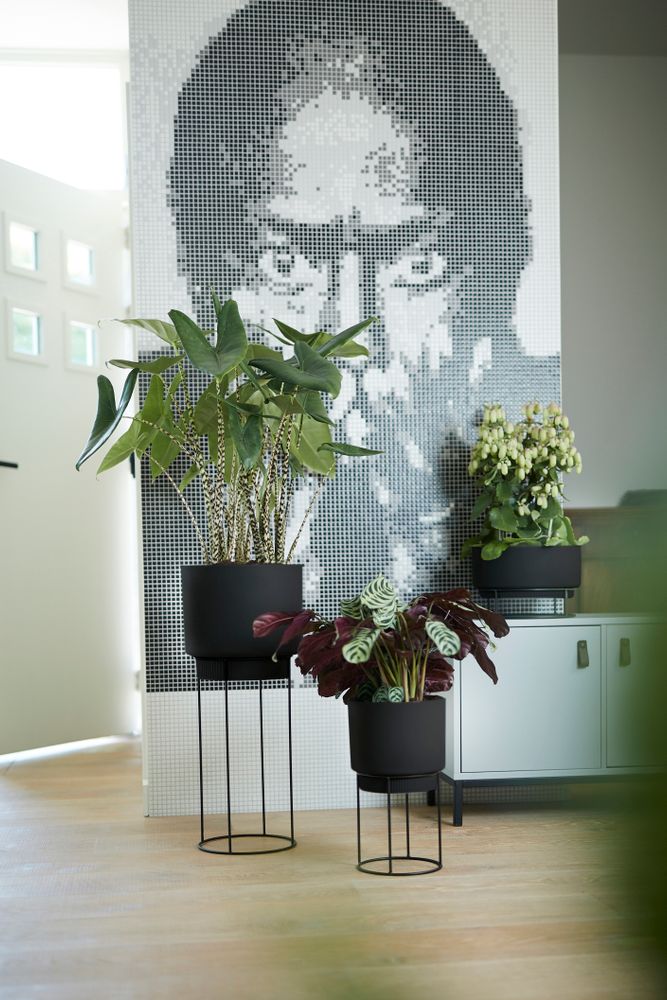 B.for Studio Round 22