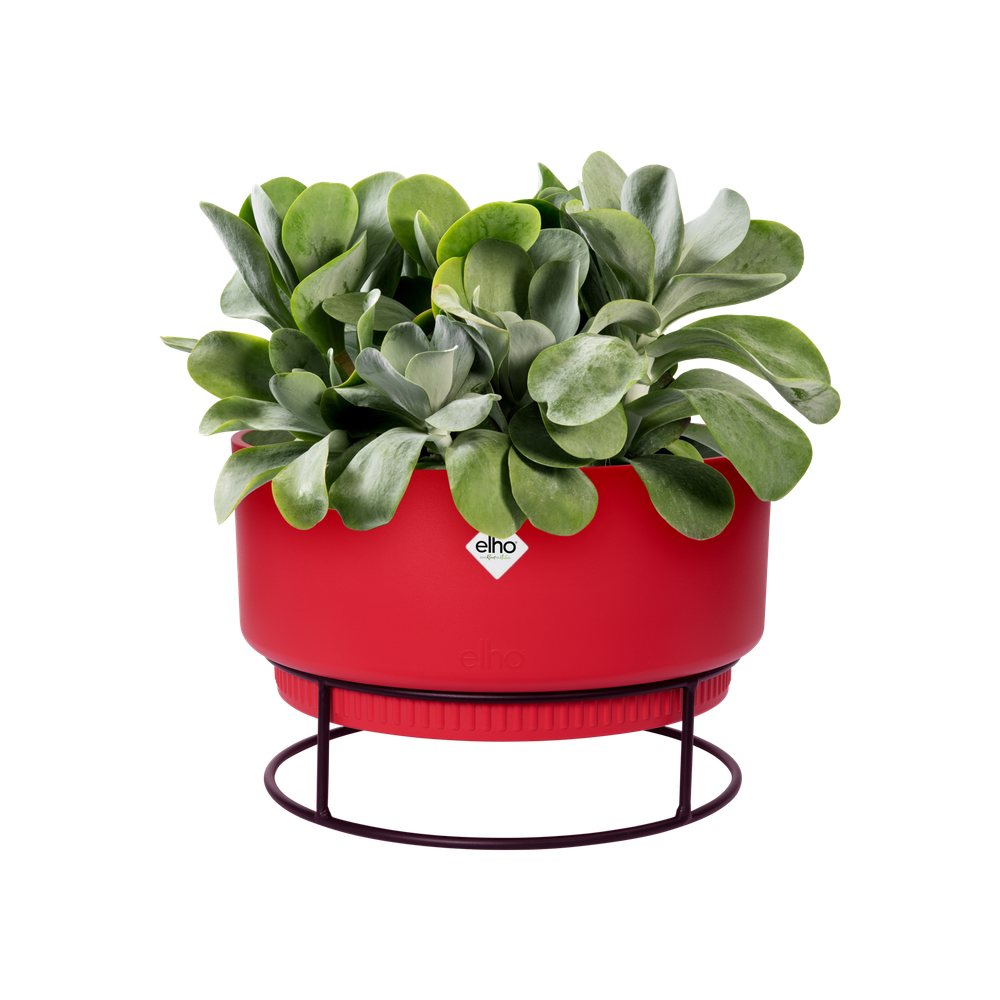 B.for Studio Bowl 30