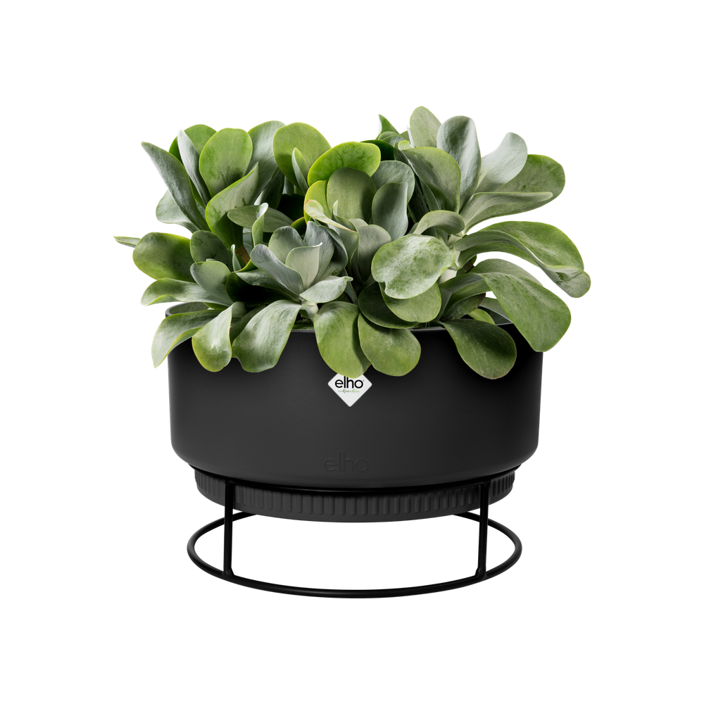 B.for Studio Bowl 30