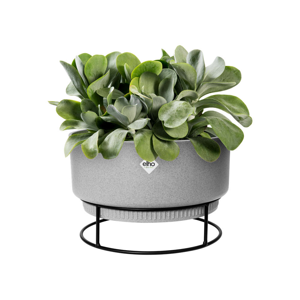 B.for Studio Bowl 30