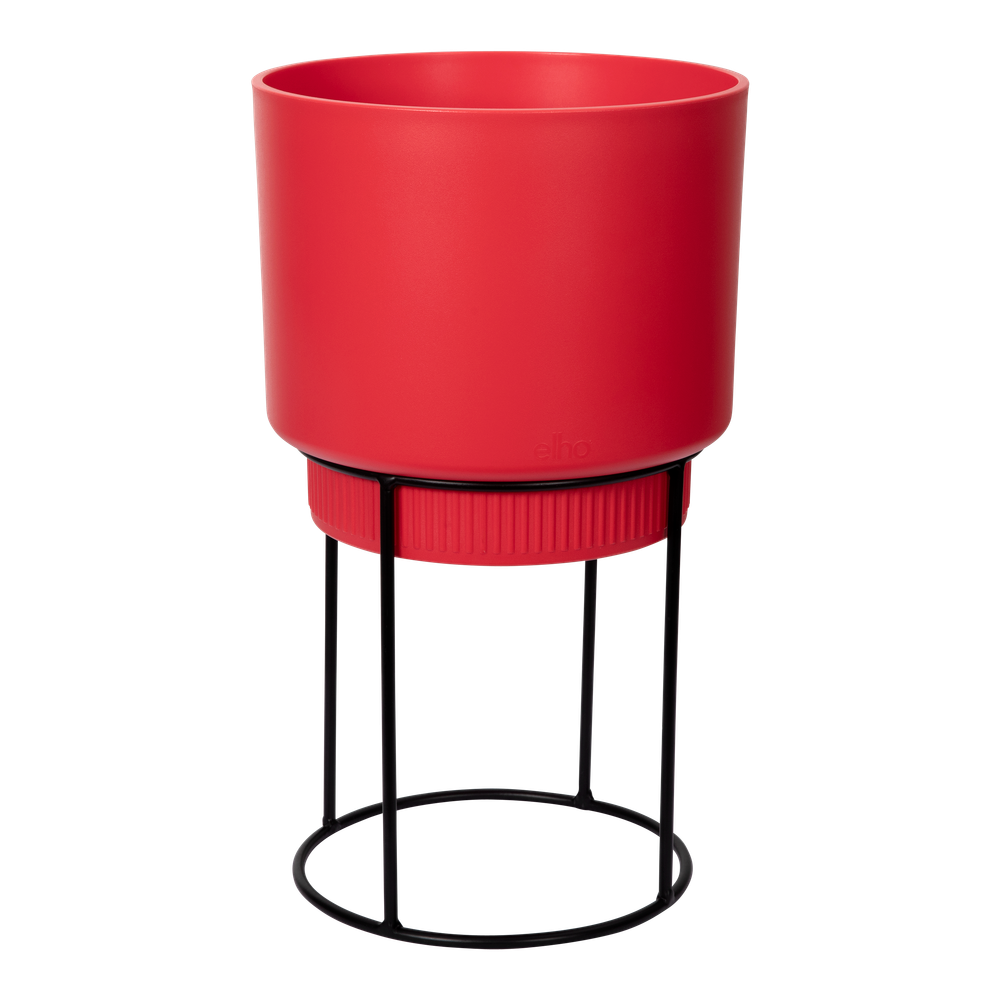 B.for Studio Round 22