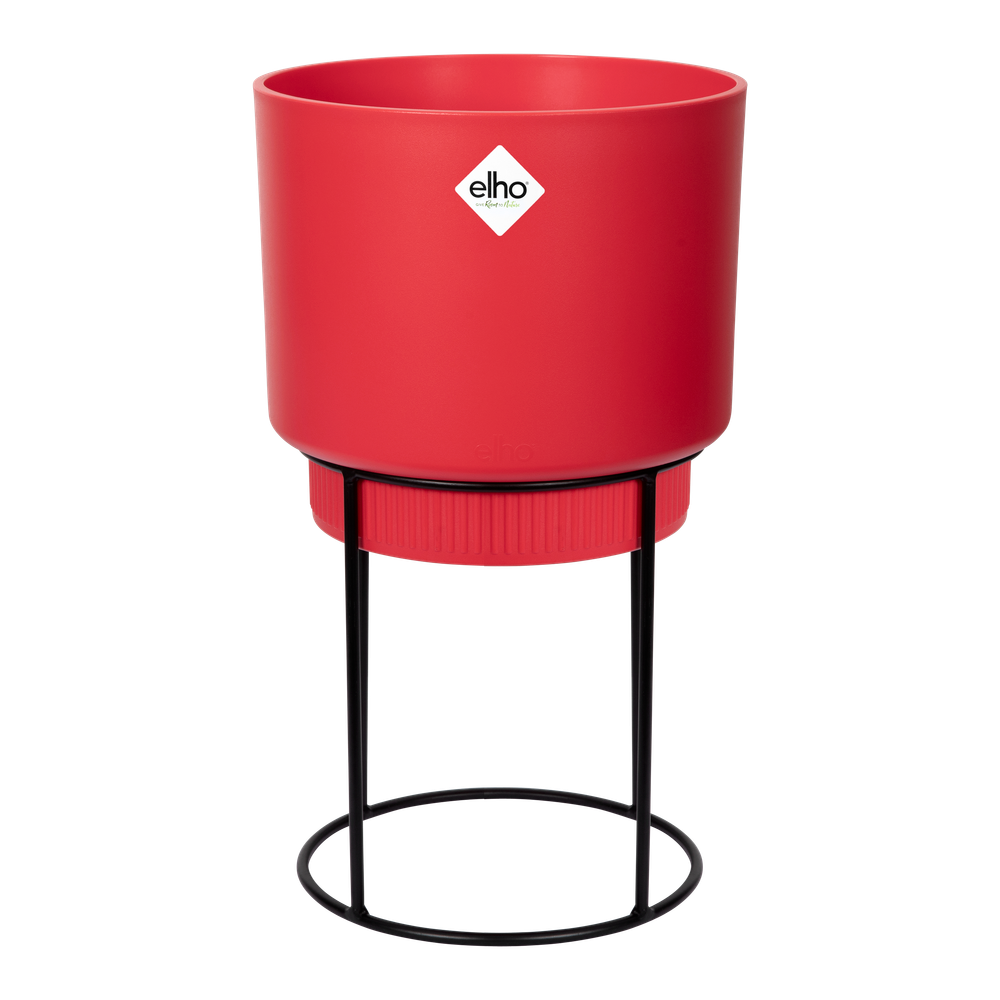 B.for Studio Round 22