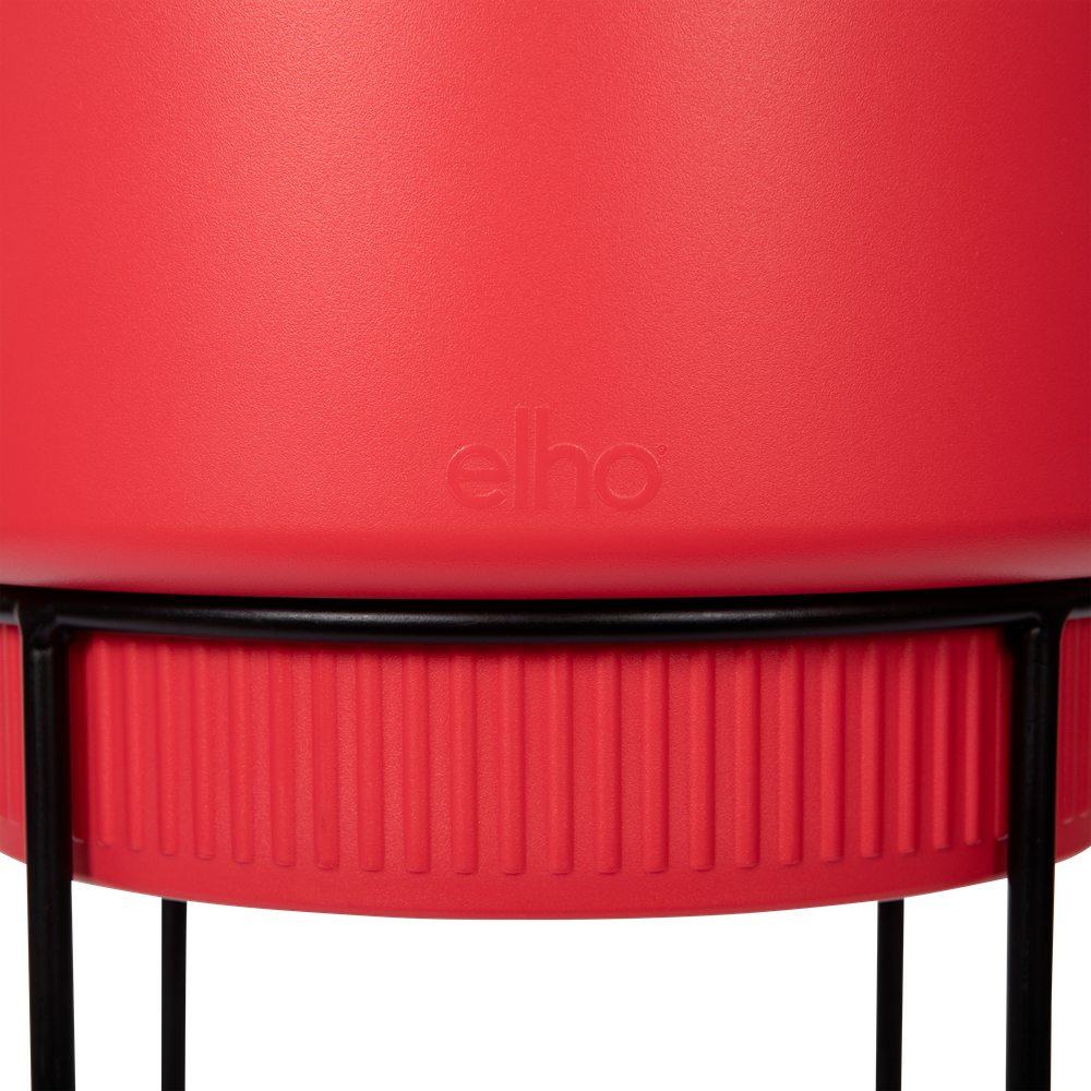 B.for Studio Round 22