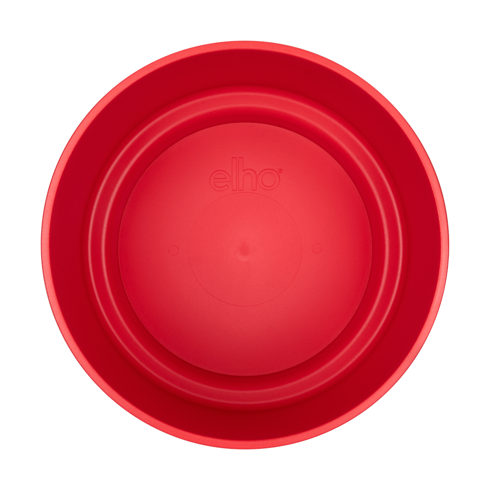 B.for Studio Round 22