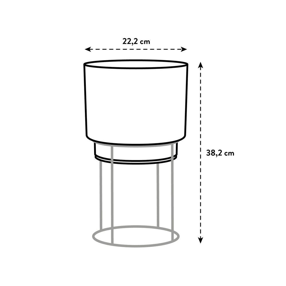 B.for Studio Round 22