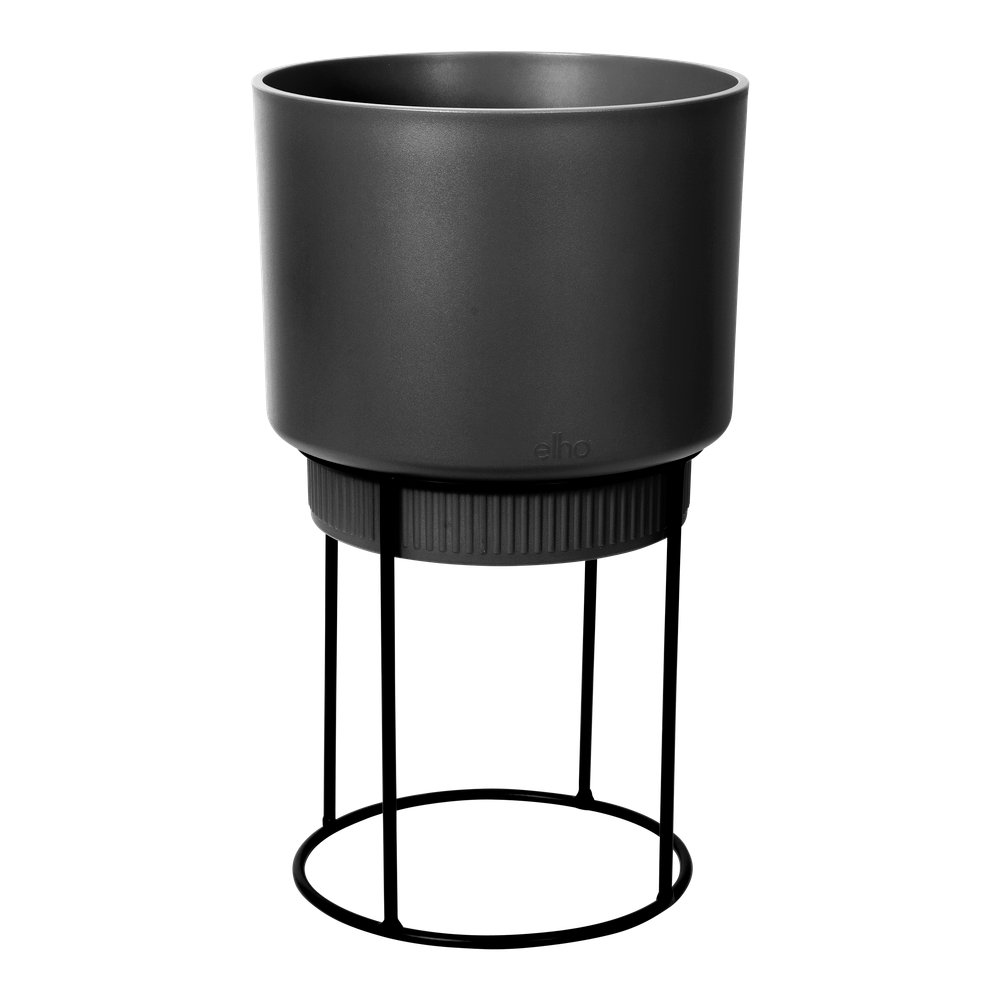 B.for Studio Round 22