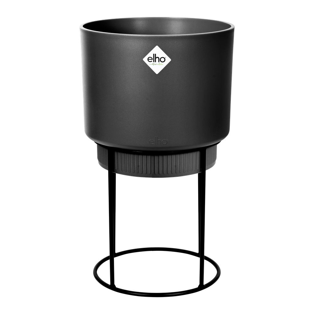 B.for Studio Round 22