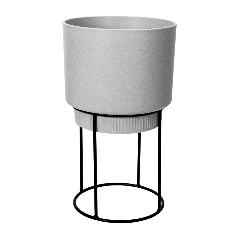 B.for Studio Round 22