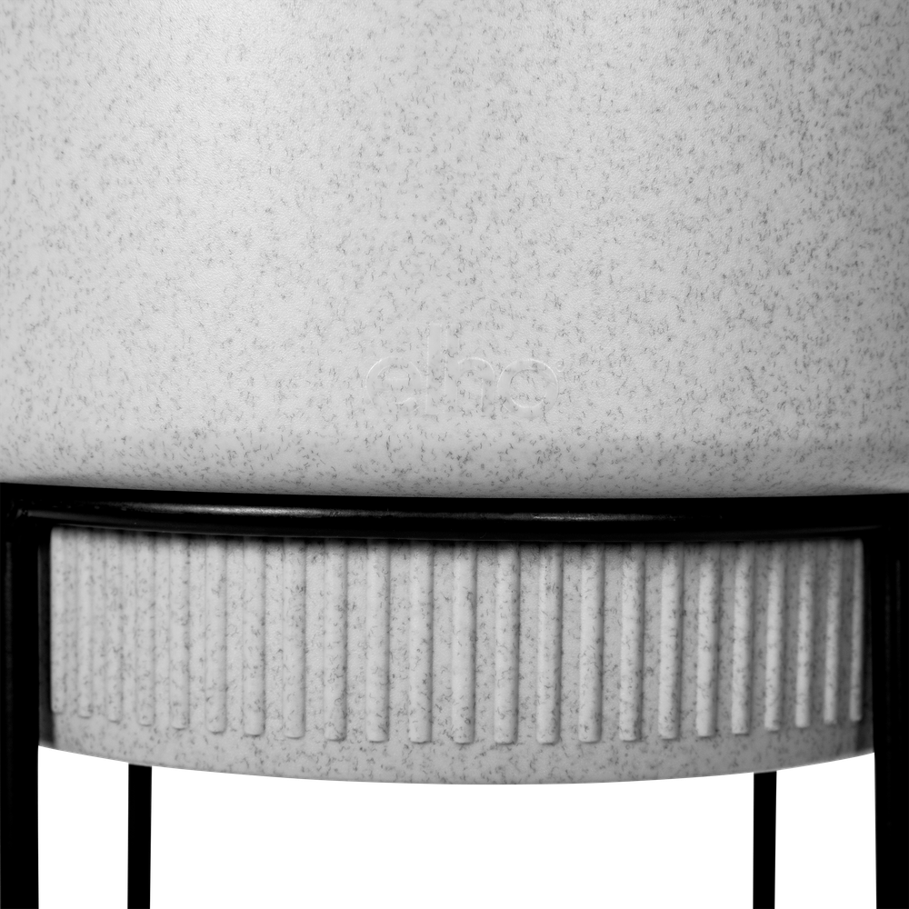 B.for Studio Round 22