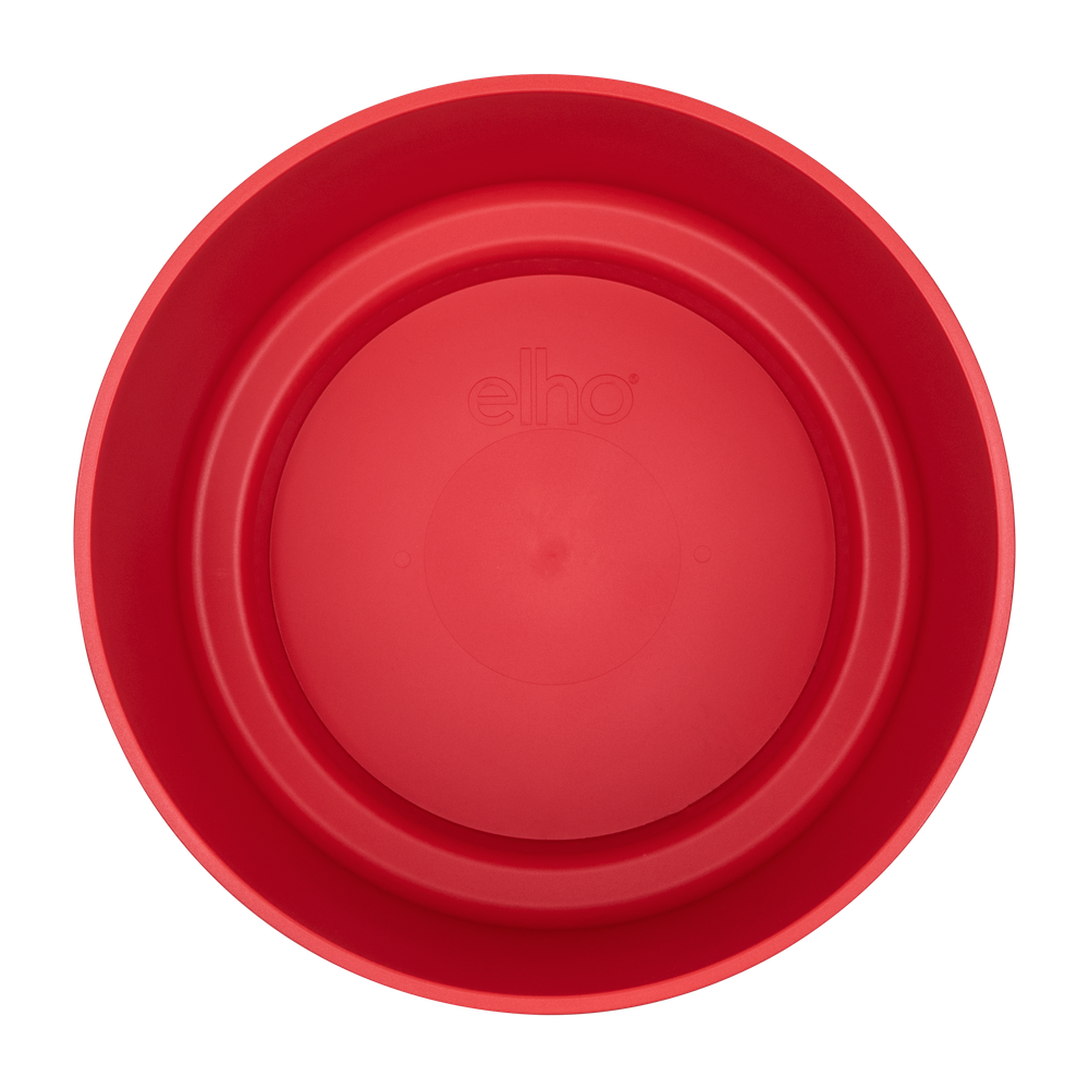 B.for Studio Round 30