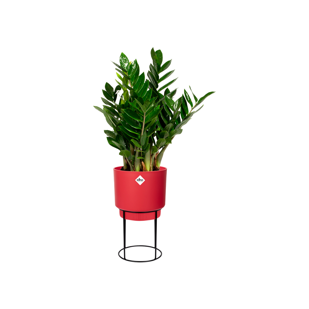 B.for Studio Round 22