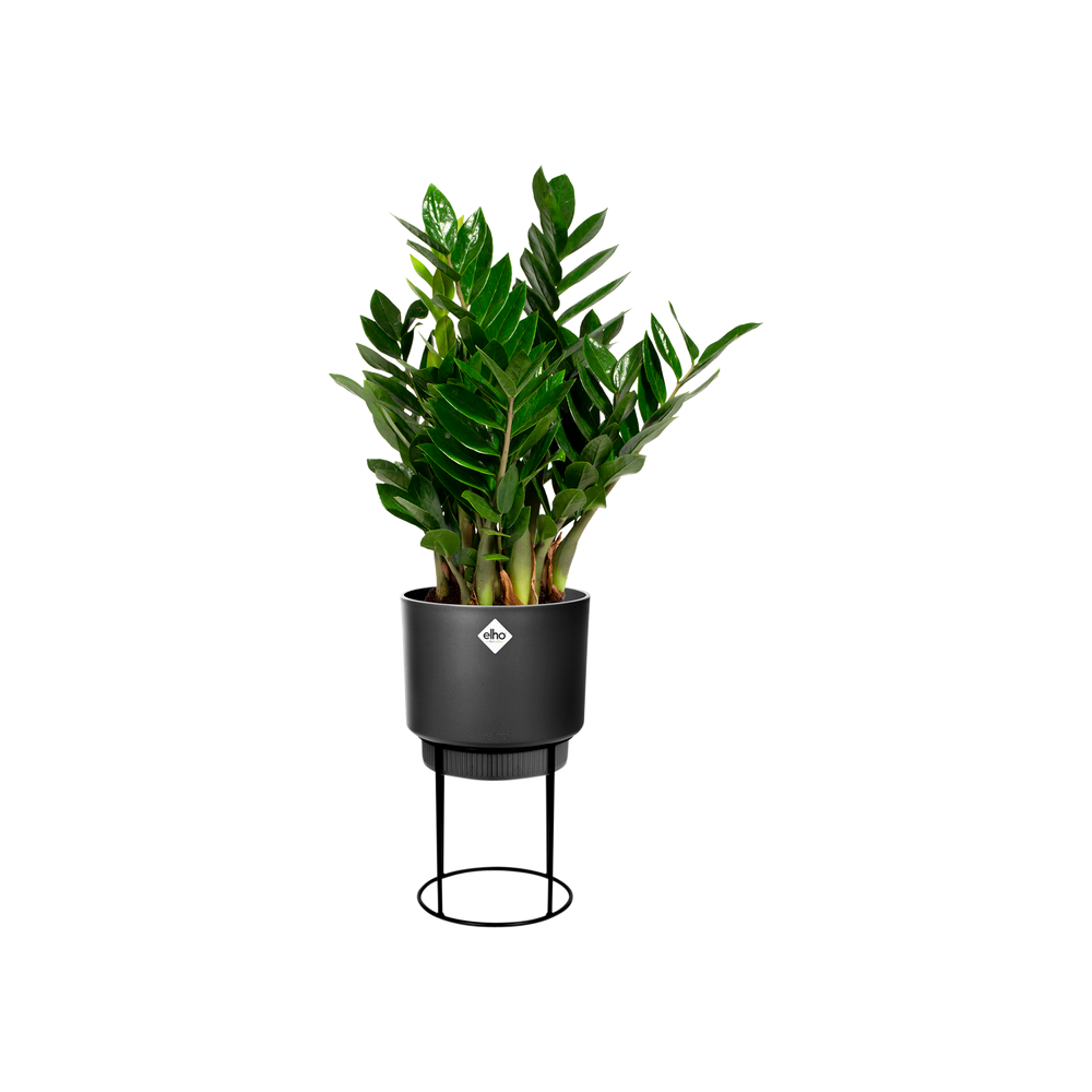 B.for Studio Round 22