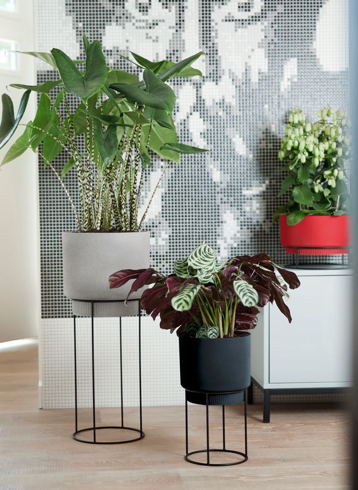 B.for Studio Round 22