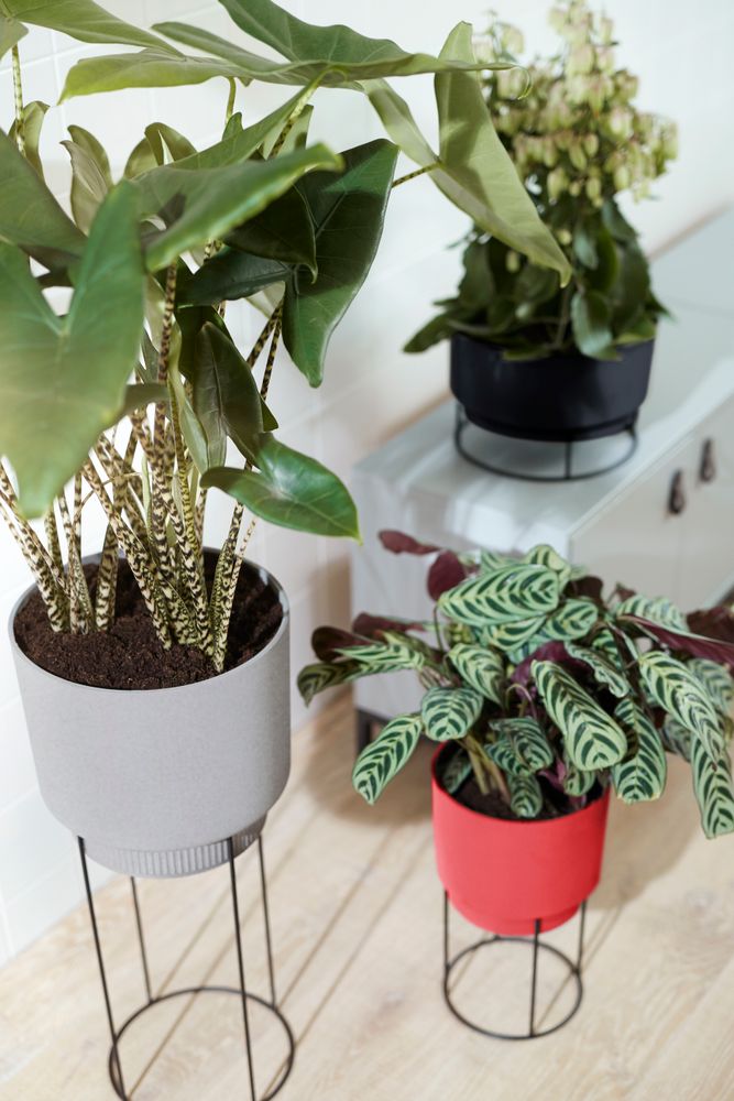 B.for Studio Round 22