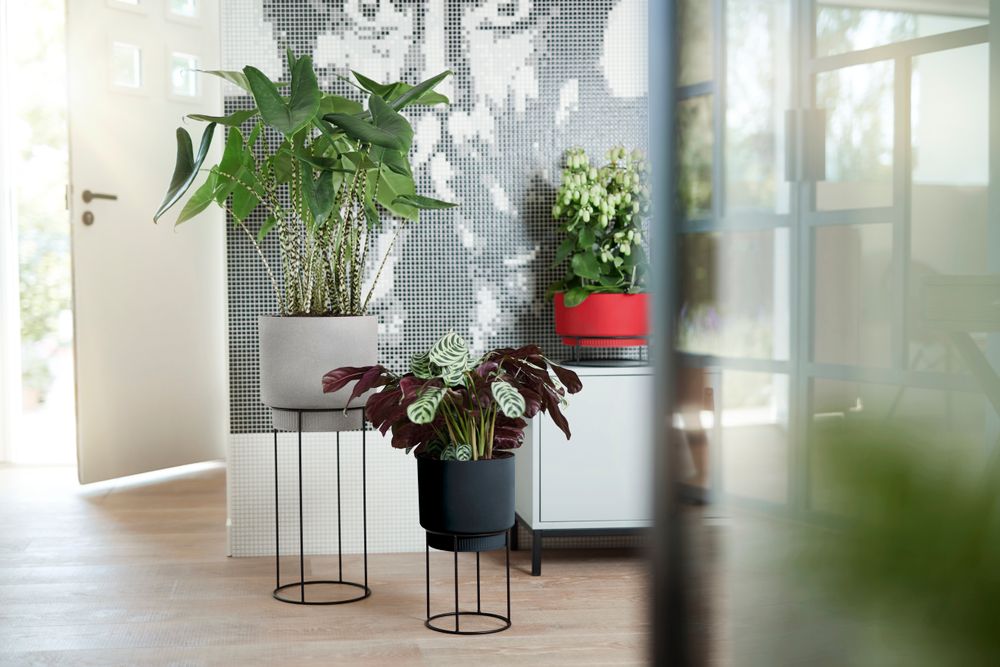 B.for Studio Round 30