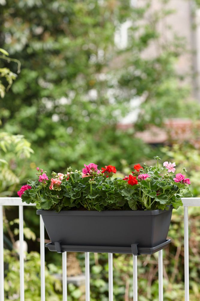 Barcelona Trough Saucer 90