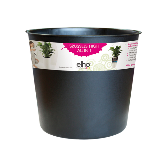 Brussels Diamond High Easy Insert 32
