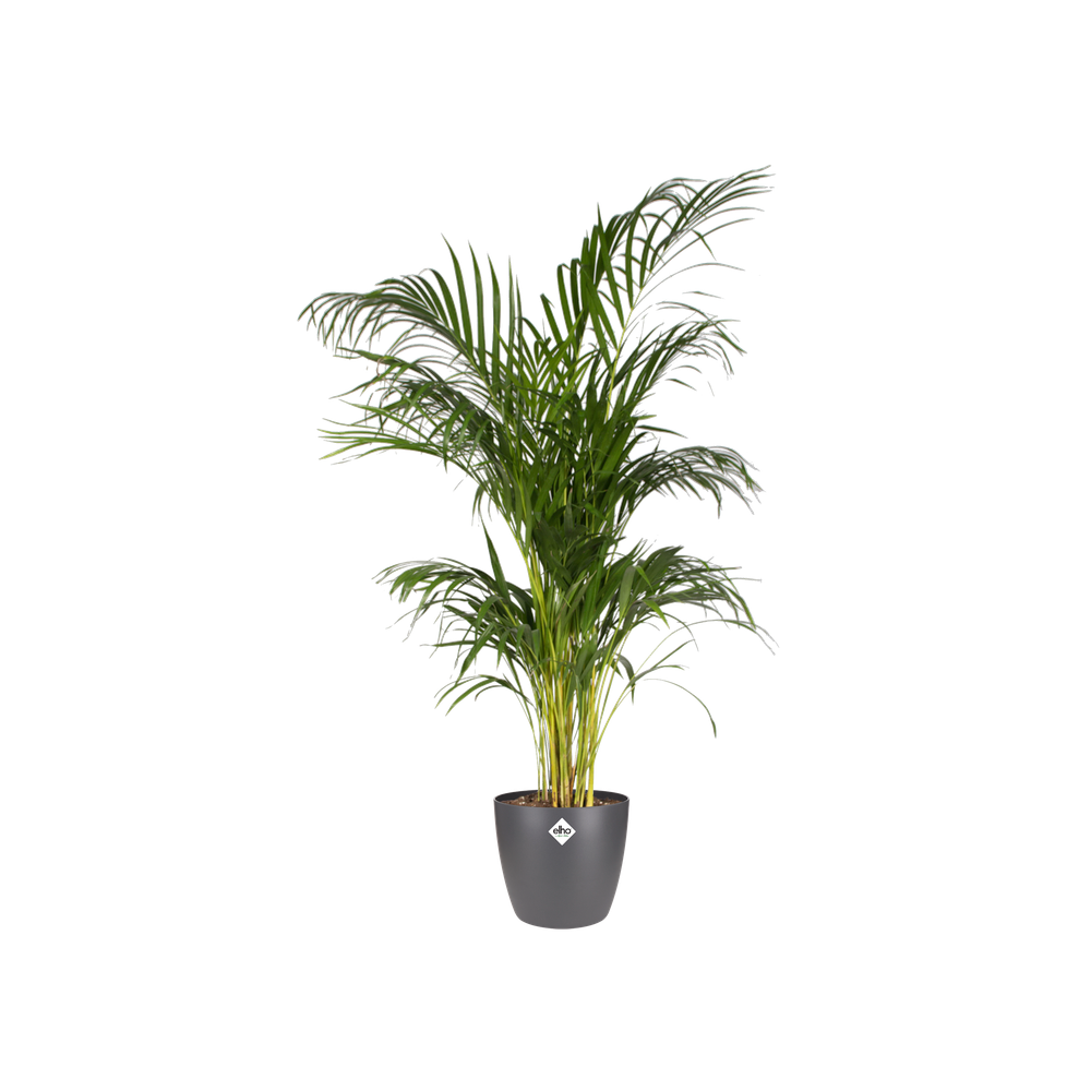 BNDL Brussels Round 16,18,20