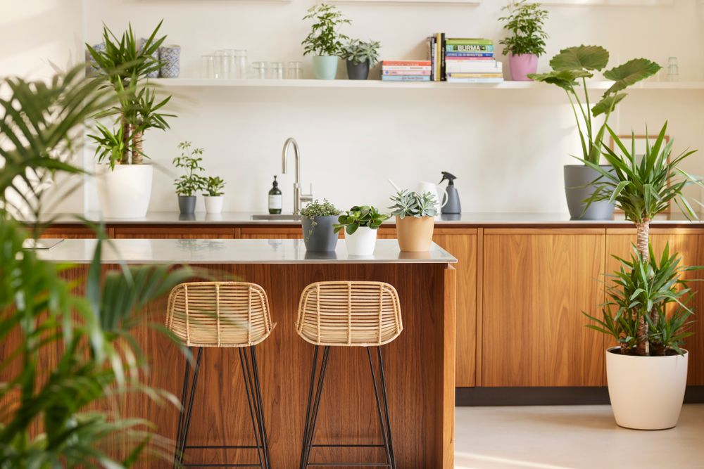 BNDL Brussels Round 25 X2