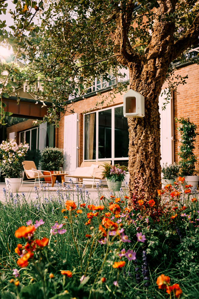 BNDL Cosy Casetta + Mangiatoia