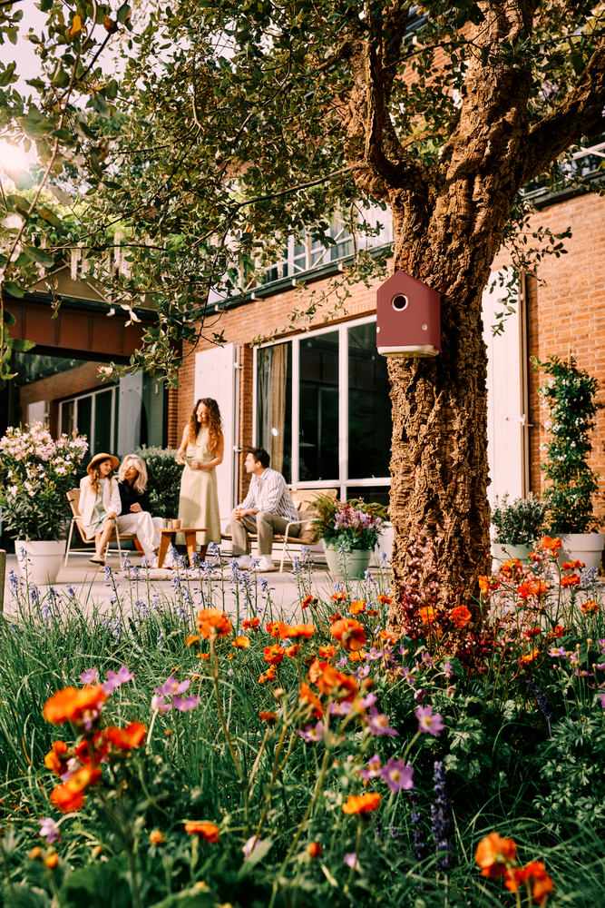 BNDL Cosy Casetta + Mangiatoia