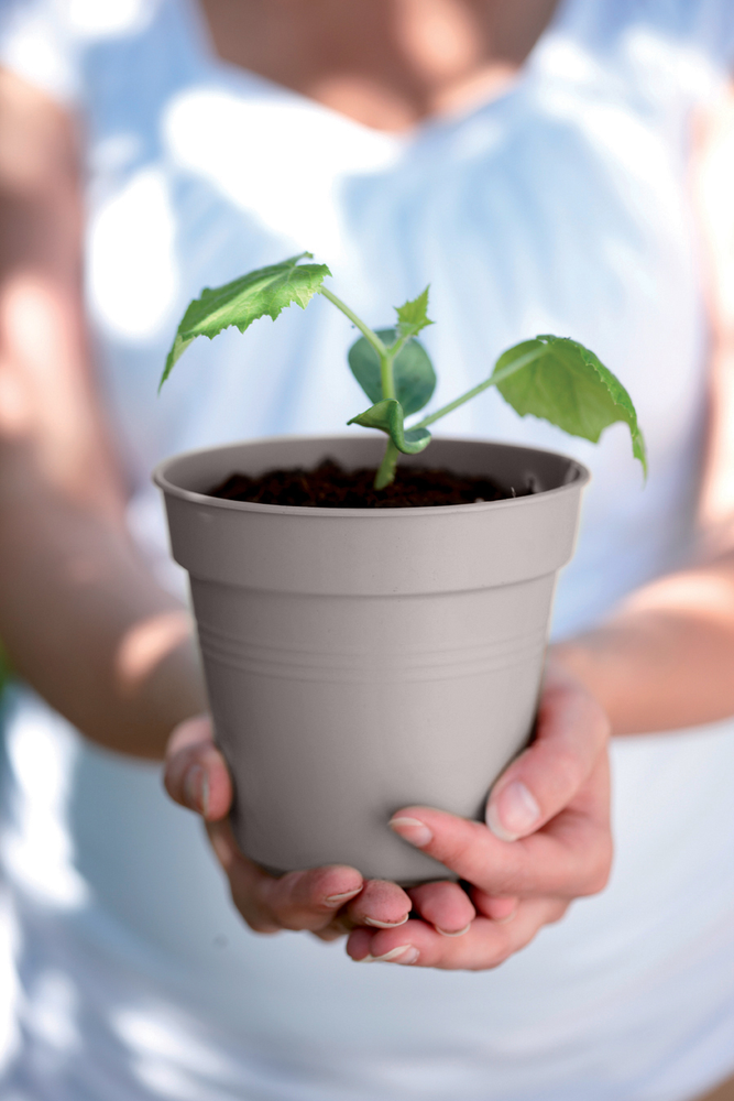 Green Basics Growpot 30