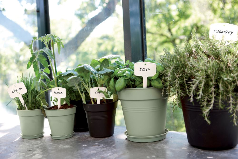 Green Basics Growpot 27