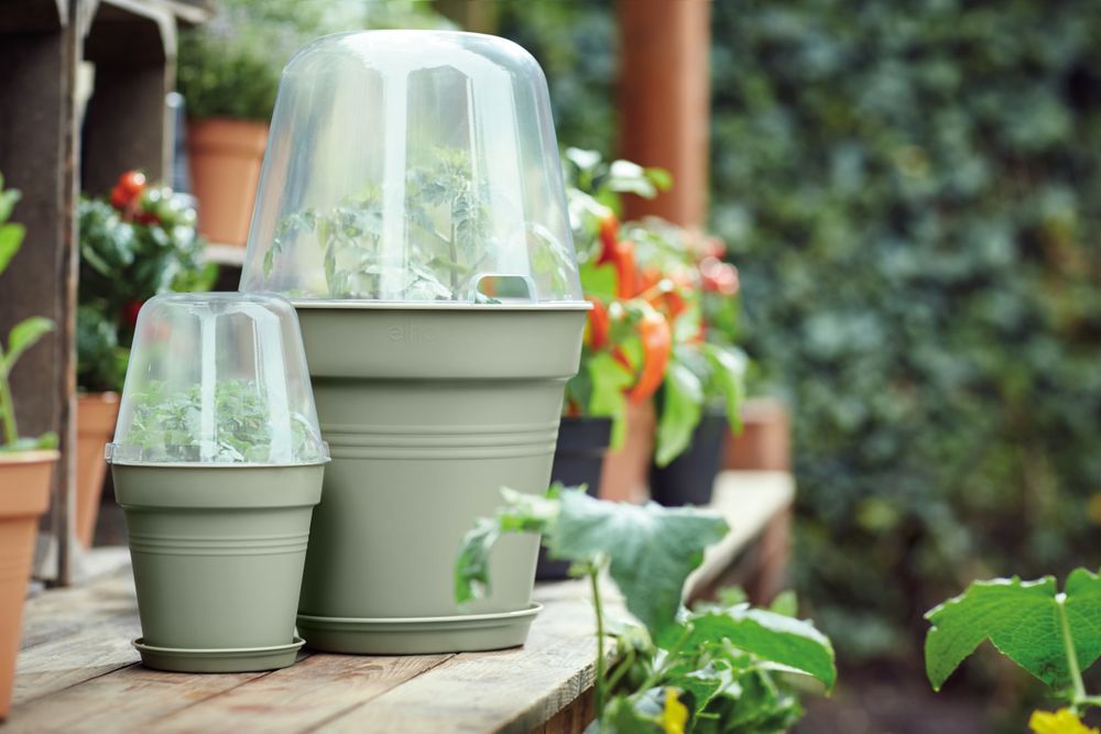 Green Basics Growpot 17
