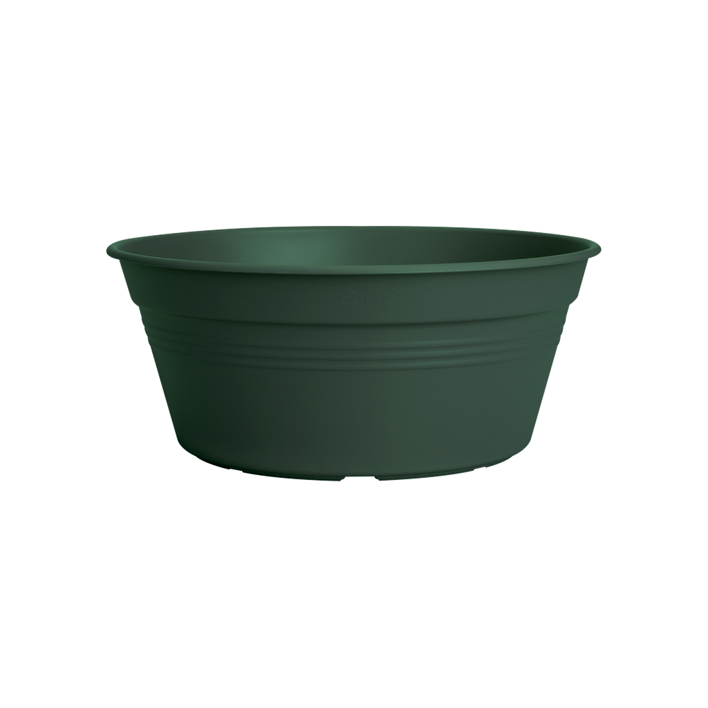 Green Basics Bowl 33