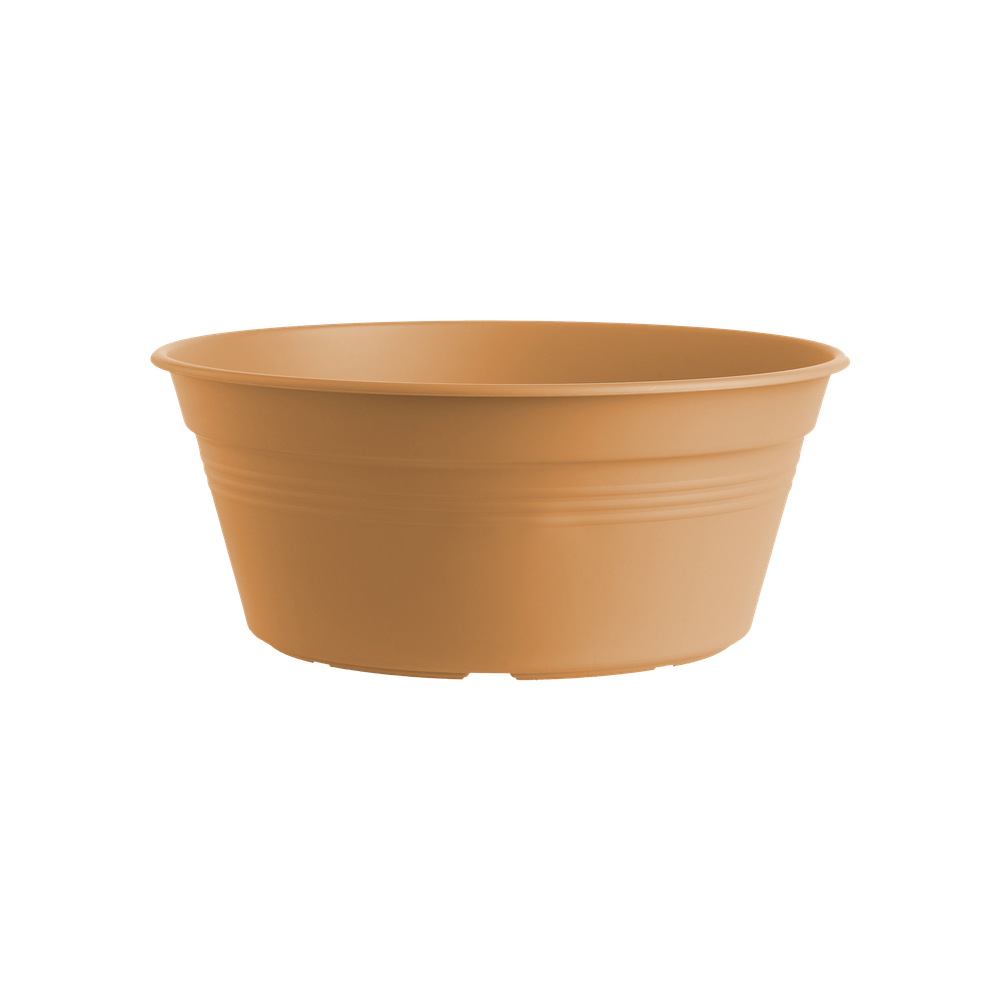 Green Basics Bowl 33