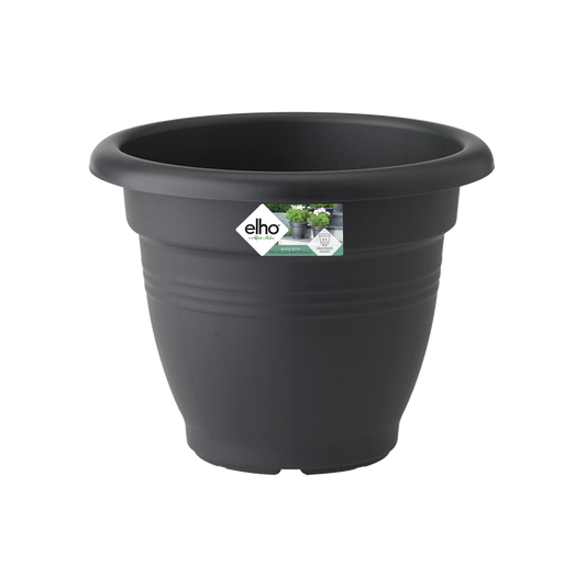 Green Basics Campana 50