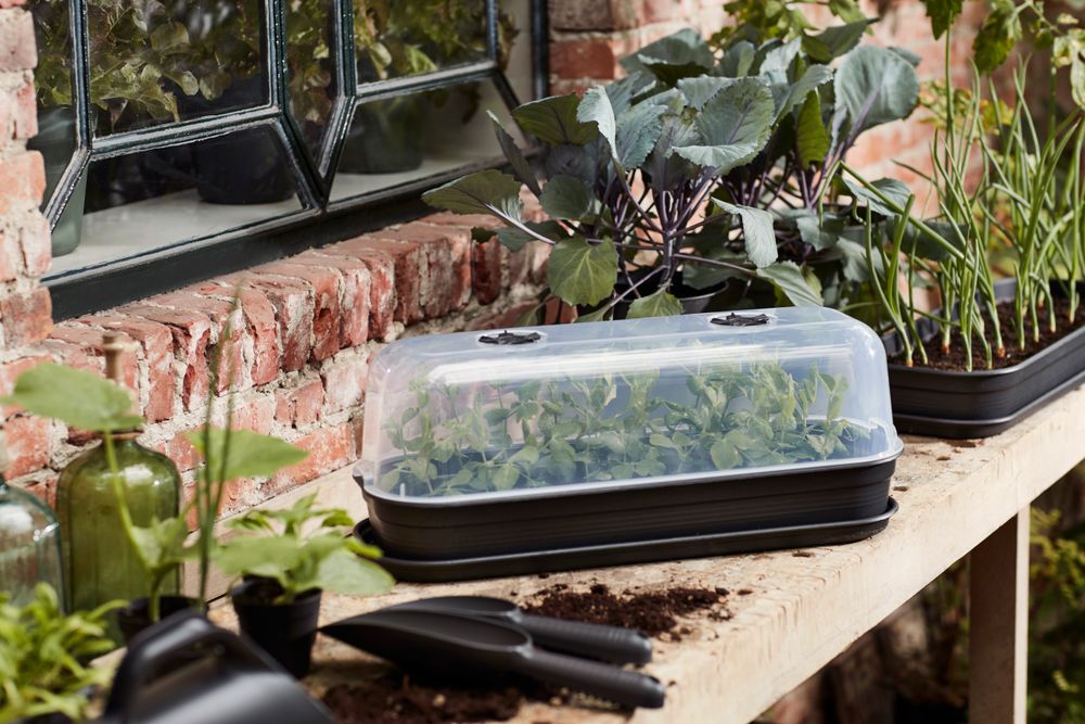 Green Basics Grow House L