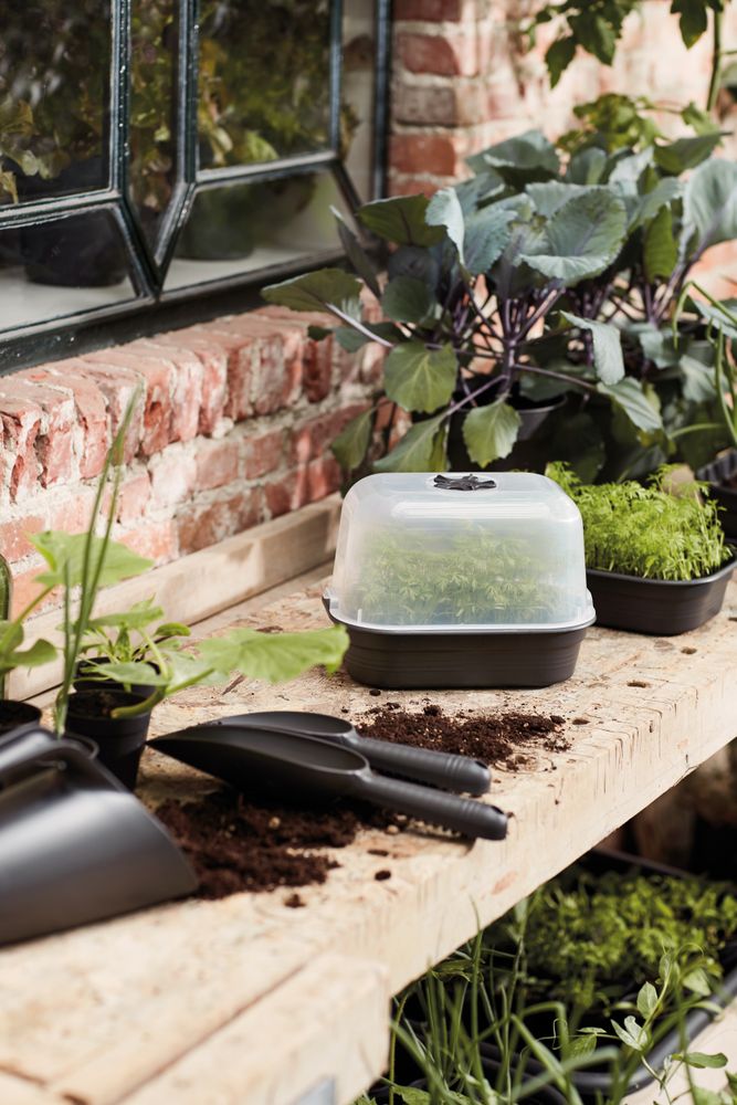 Green Basics Grow Tray S
