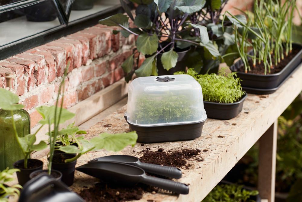 Green Basics Grow Tray Saucer S