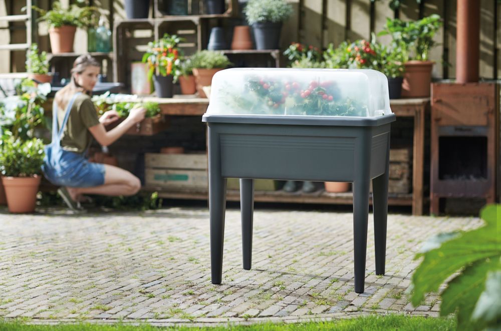 Green Basics Grow House Super Xxl