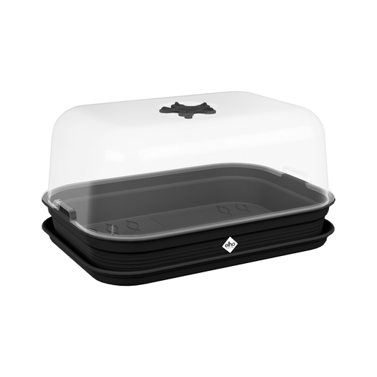 Green Basics Grow Set M
