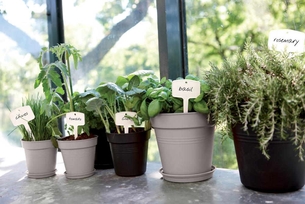 Green Basics Growpot 11