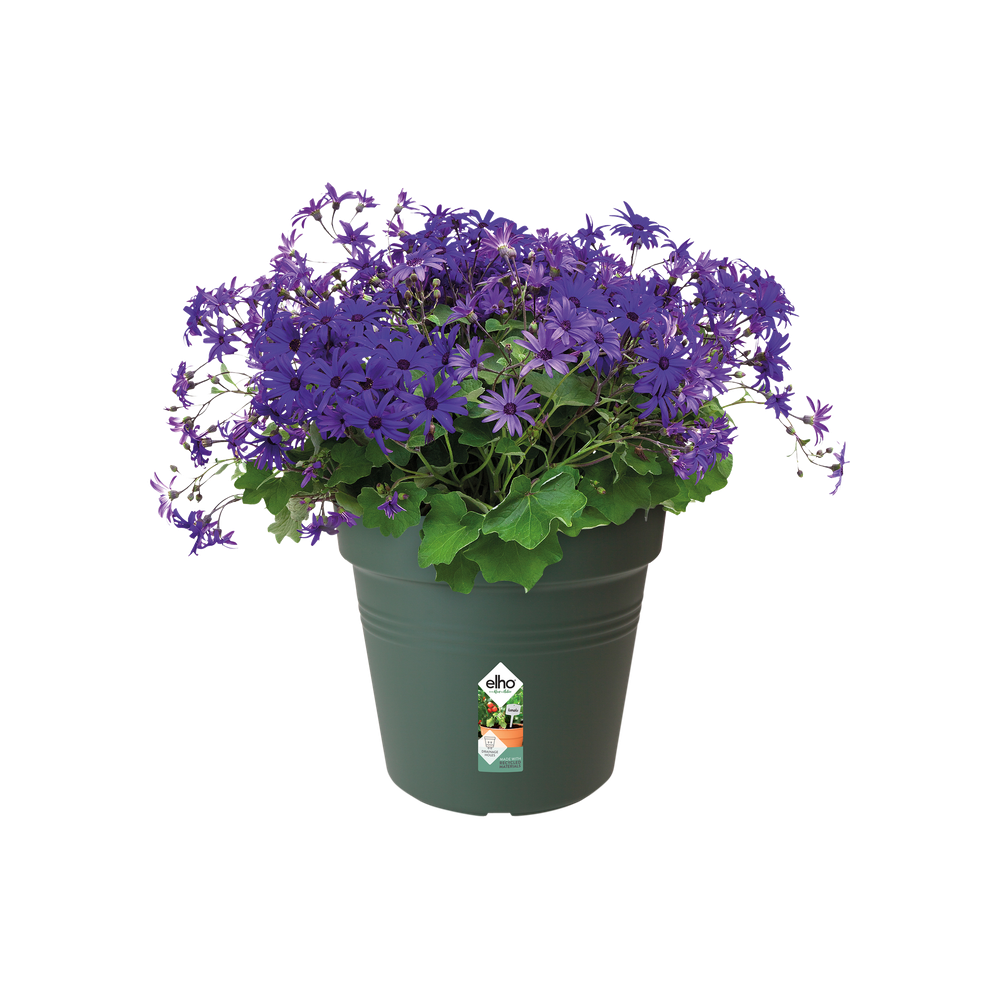 Green Basics Growpot 30