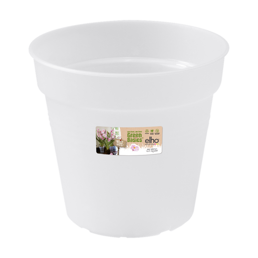 Green Basics Orchid 15