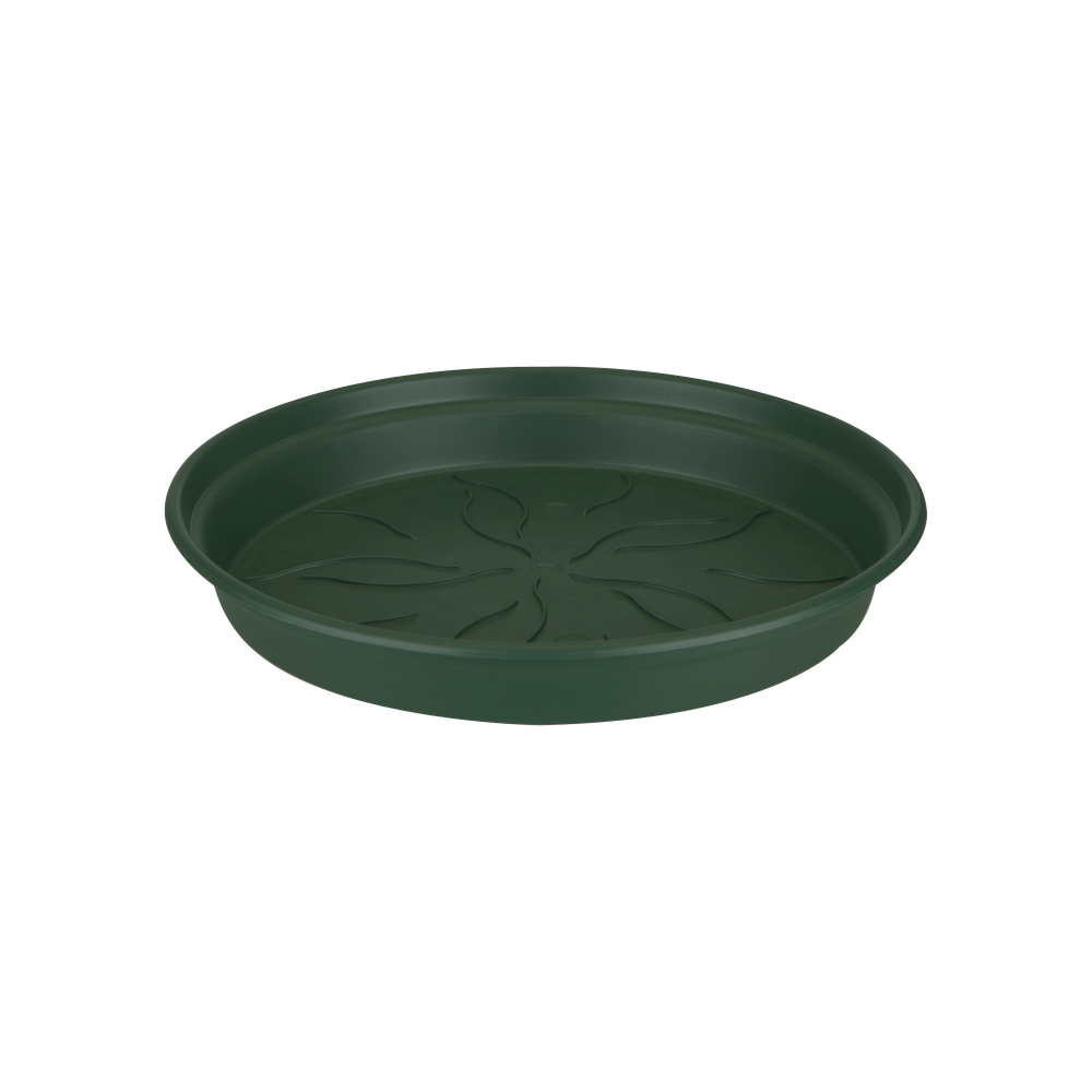Green Basics Saucer 10