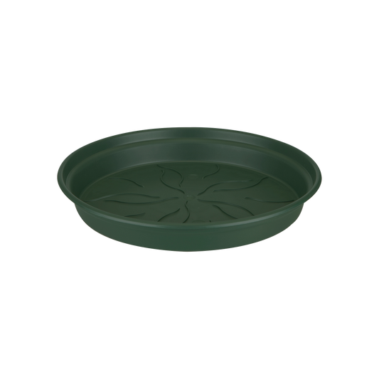 Green Basics Saucer 41