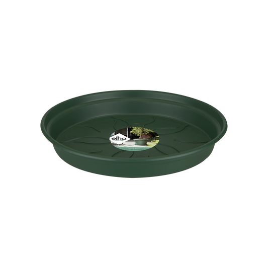 Green Basics Saucer 41