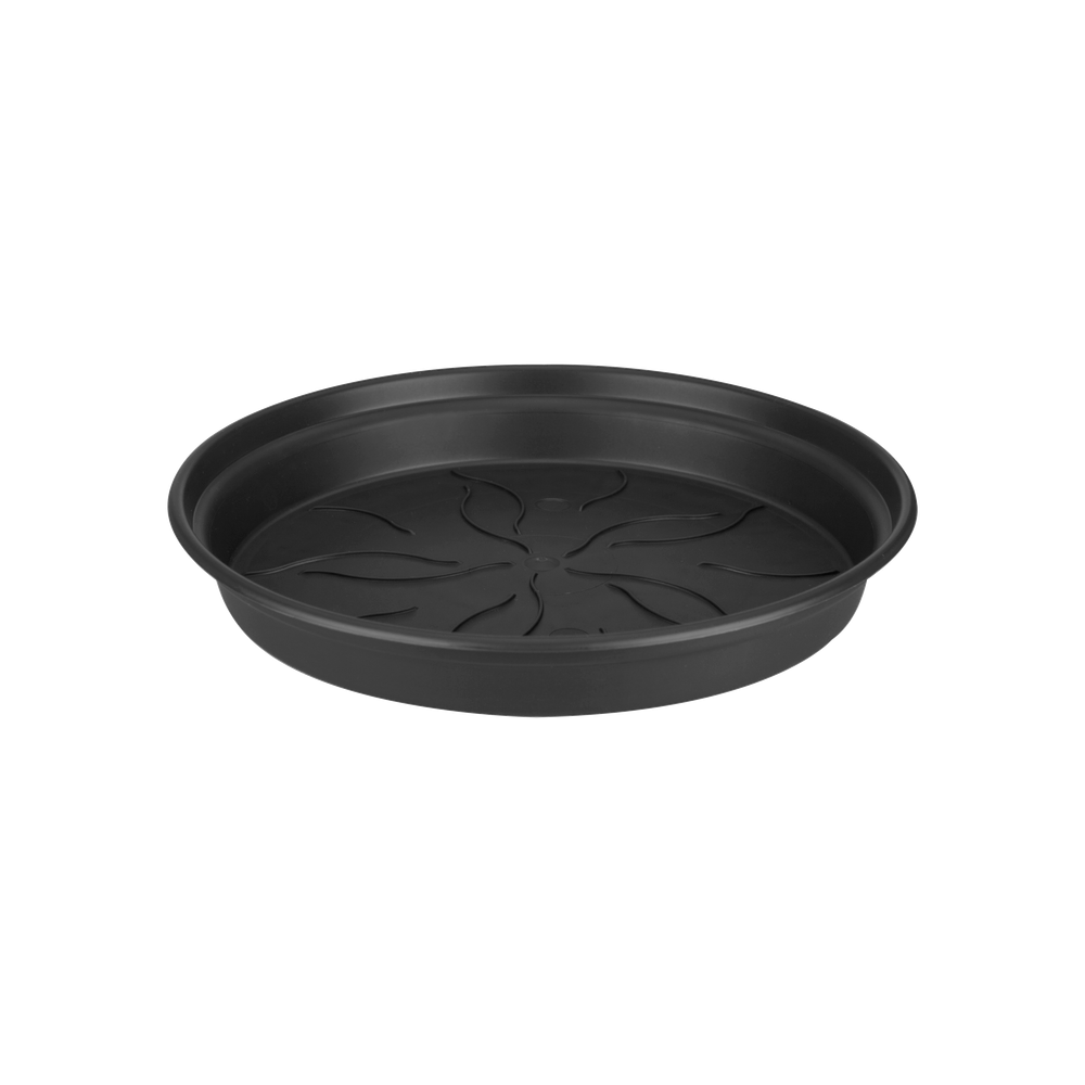 Green Basics Saucer 65